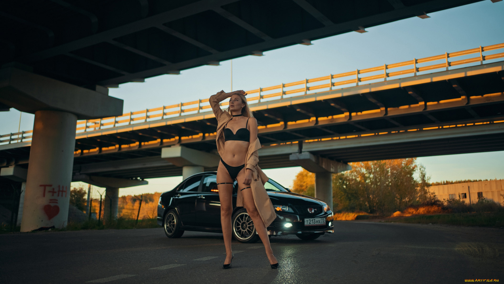 , -  , honda, accord